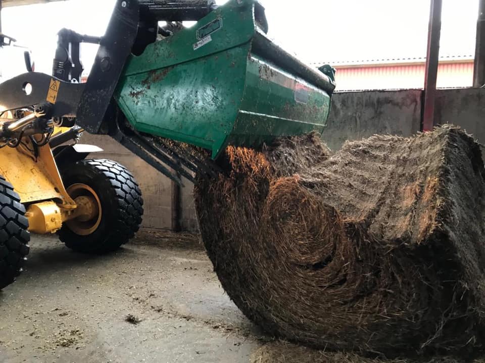 Heavy Duty Shear Grab