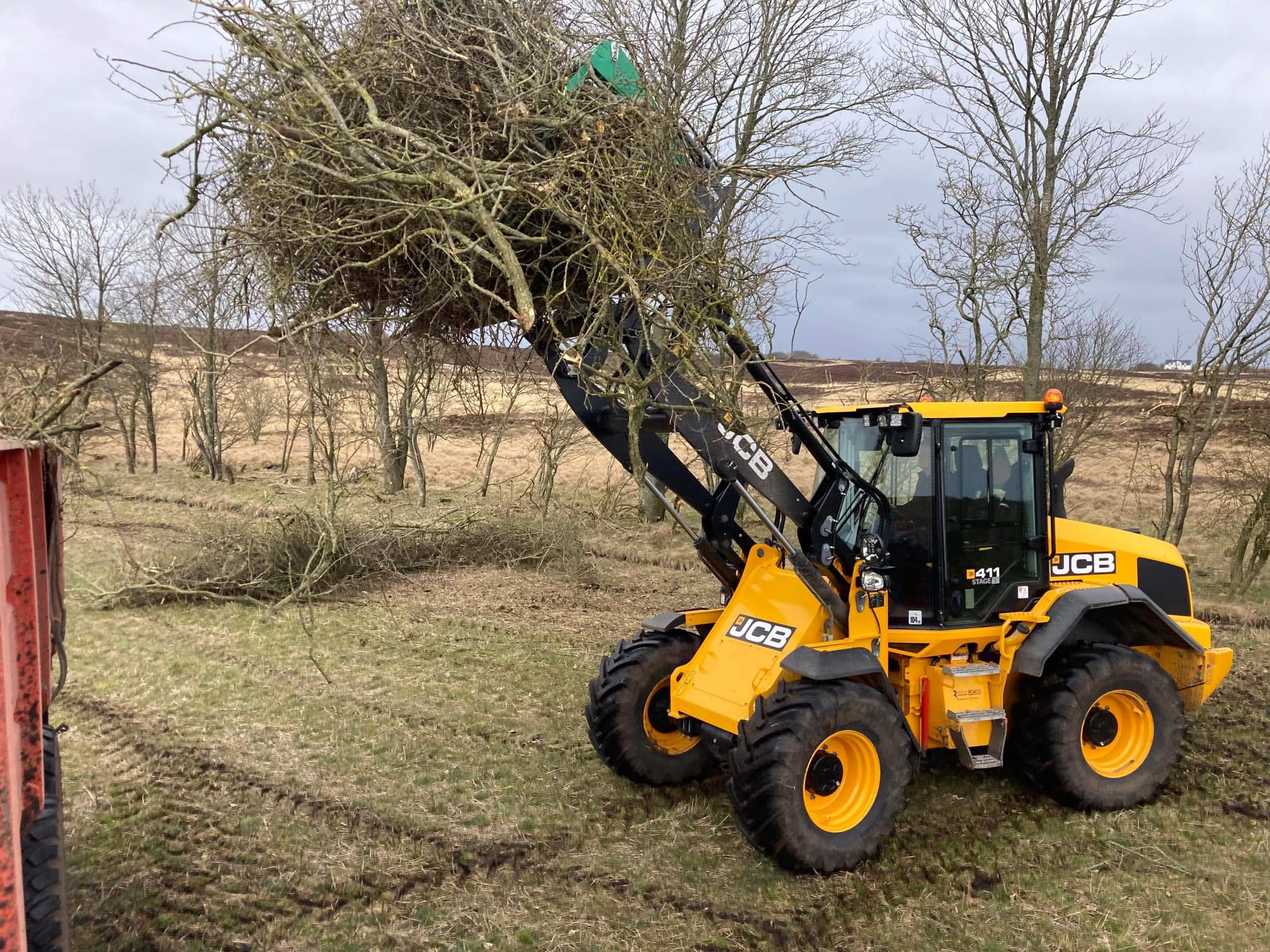 Telehandler Tine Grab